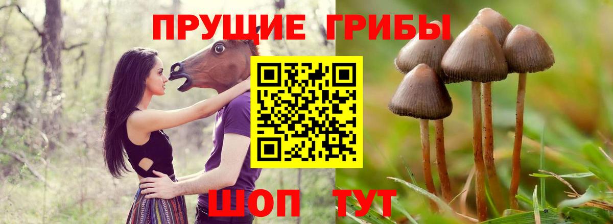 Галлюциногенные грибы GOLDEN TEACHER  Вход с VPN  Электросталь 